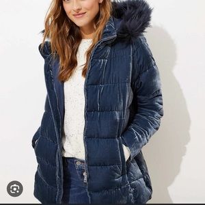 LOFT Blue Velvet Puffer Coat with Fur